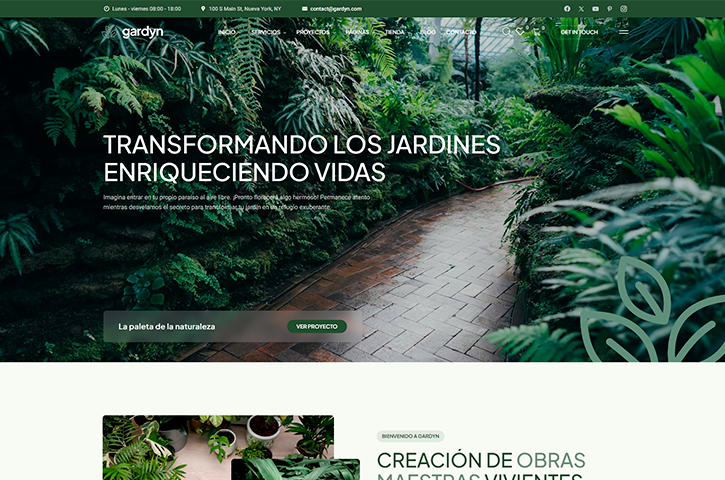 Diseño de página web