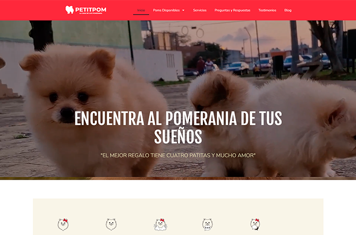 Diseño de página web