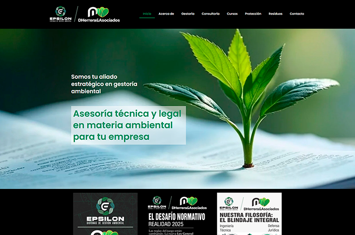 Diseño de página web