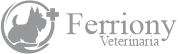 Diseño de página web