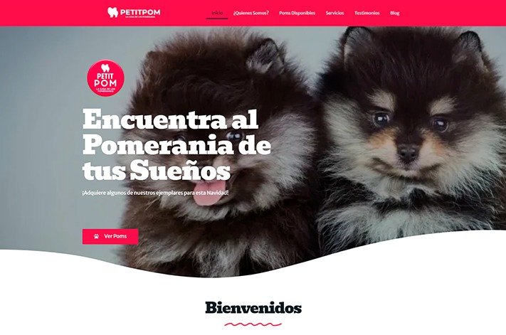 WhatsApp Image 2025-01-10 at 1.34.50 PM