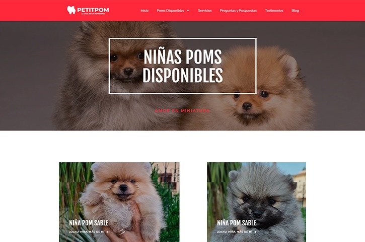Diseño de página web