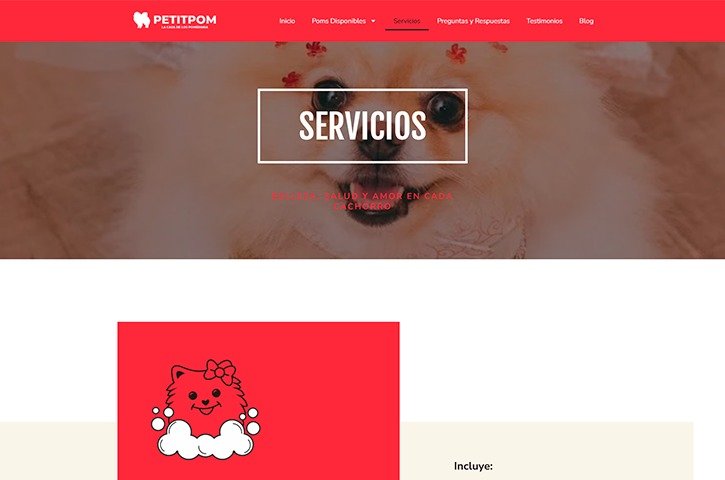 Diseño de página web